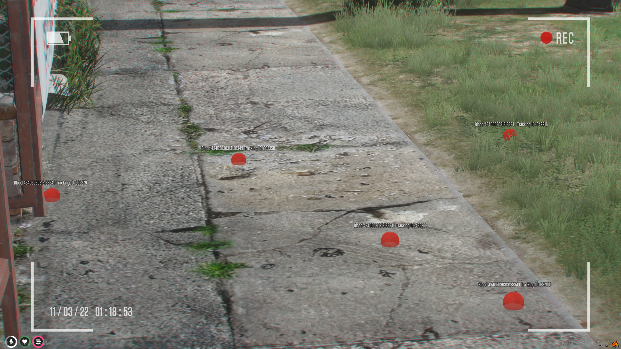 Blood seen through the evidence camera